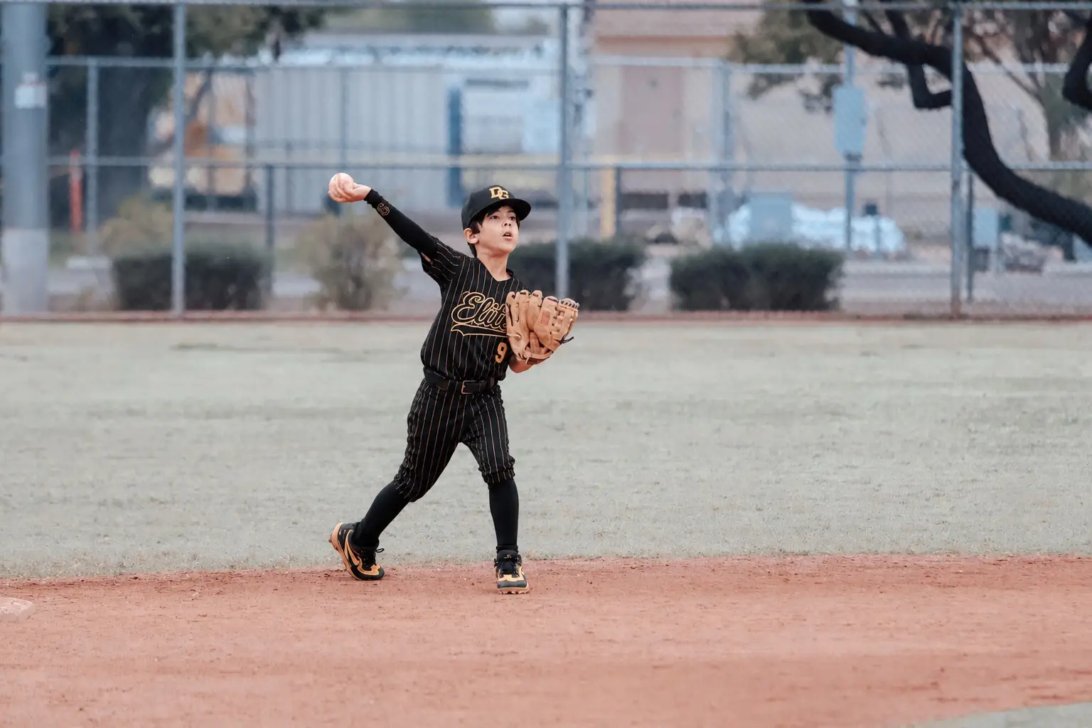DG Elite competitive youth baseball games in Phoenix metro tournament play