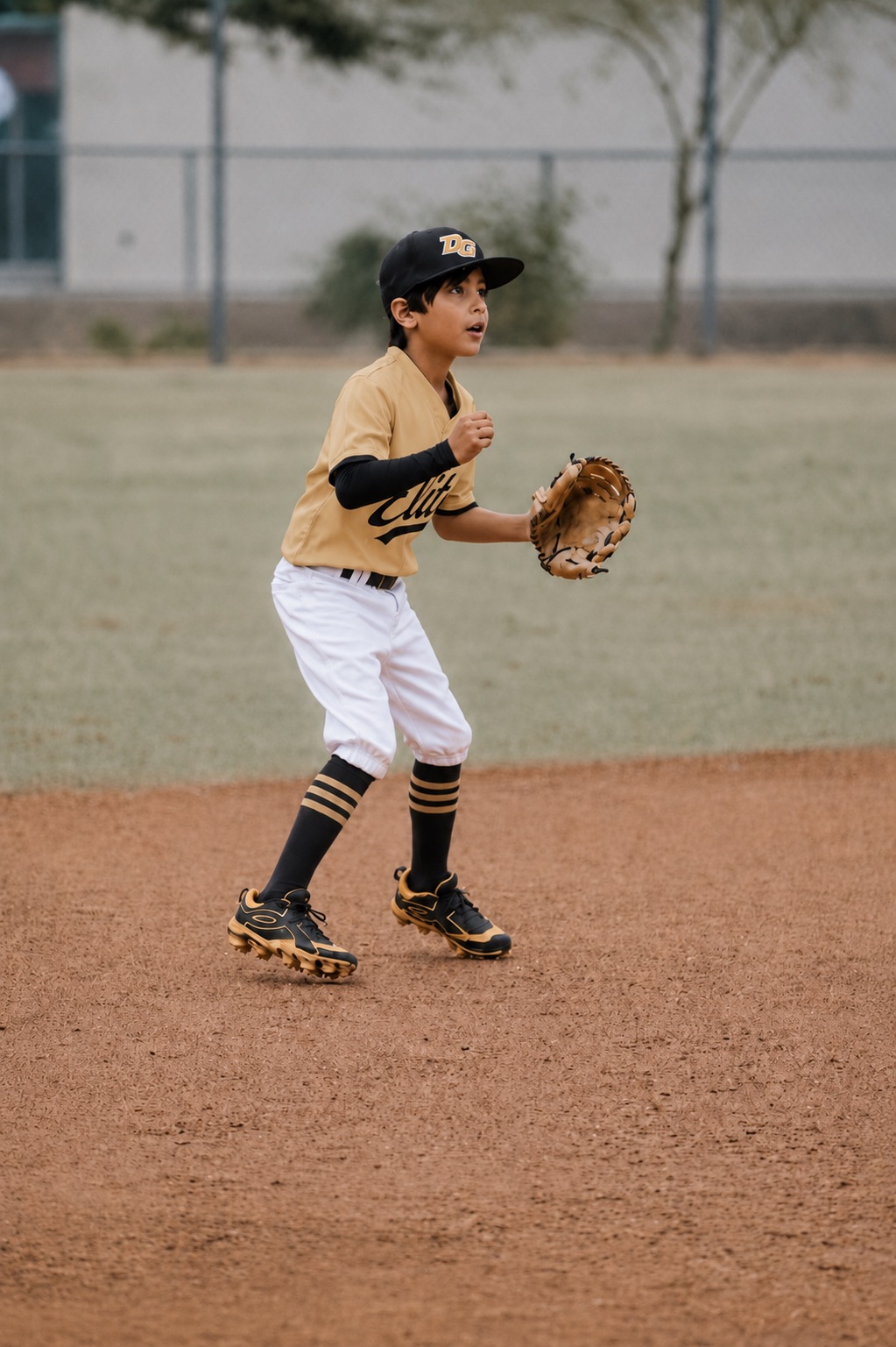 DG Elite competitive youth baseball games in Phoenix metro tournament play